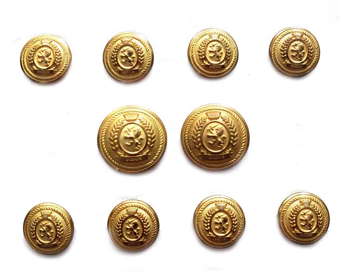 Vintage Tommy Hilfiger by Waterbury Semi-Dome Blazer Buttons Set Gold Brass Rampant Lion Men's