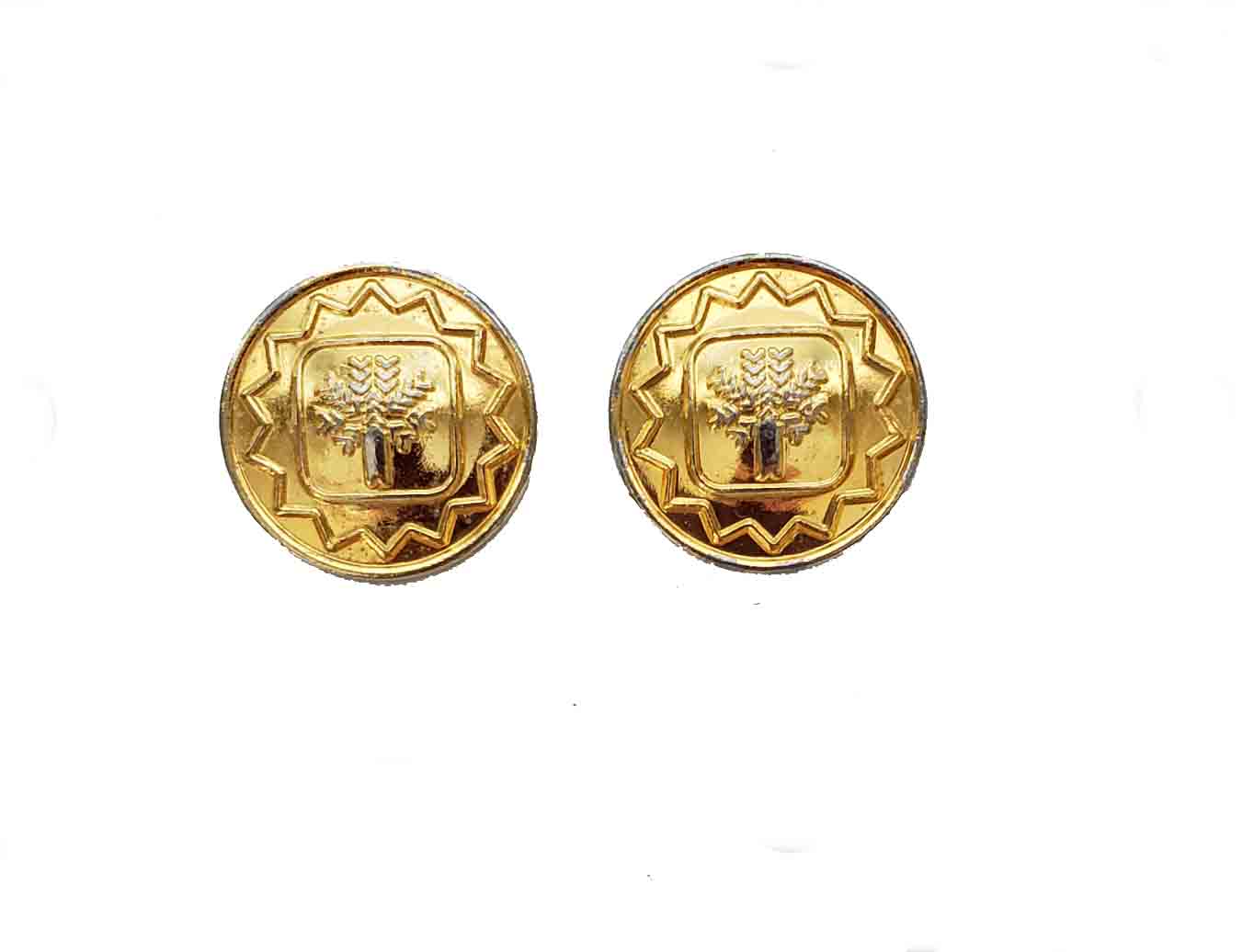 Two Vintage Pal Zileri Blazer Buttons Gold Brass Men's