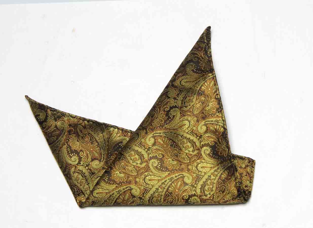 Gascoigne Pocket Square Gold Brown Paisley B7R Men's